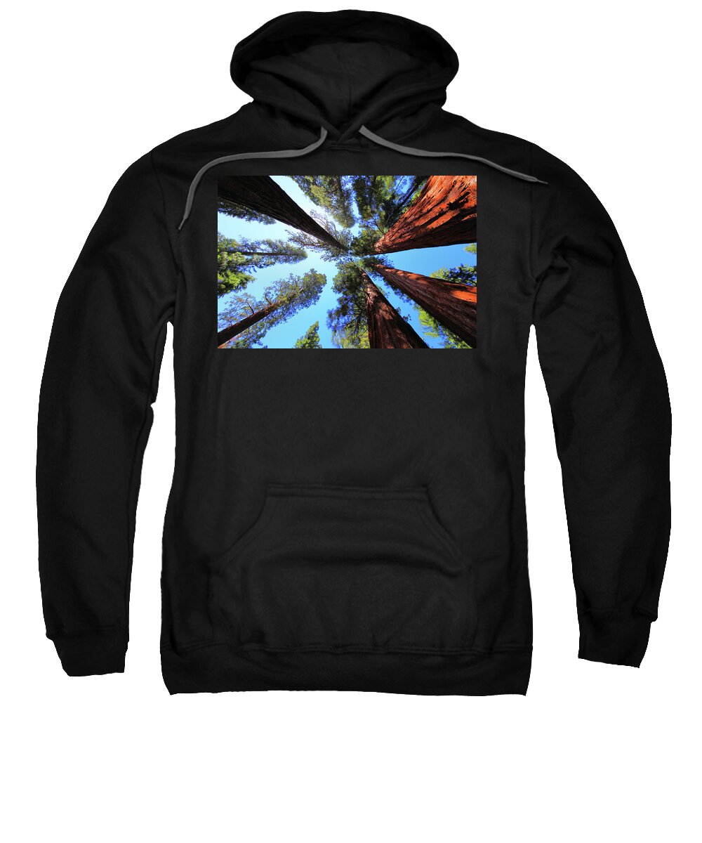 Redwoods Sweatshirt featuring the photograph The Bachelor and the Three Graces by Rick Berk