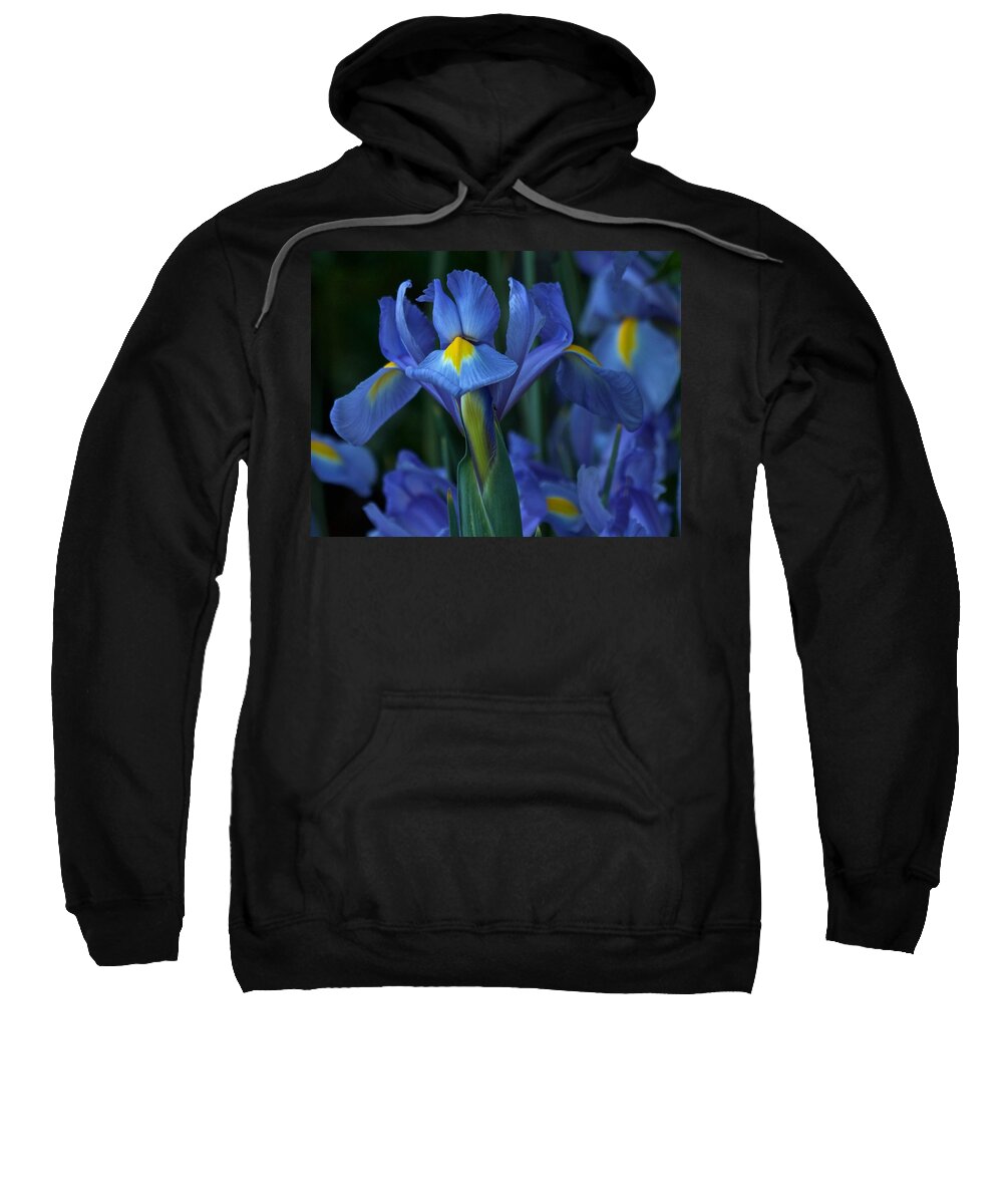 Blue Irises Sweatshirt featuring the photograph The Blues by Richard Cummings