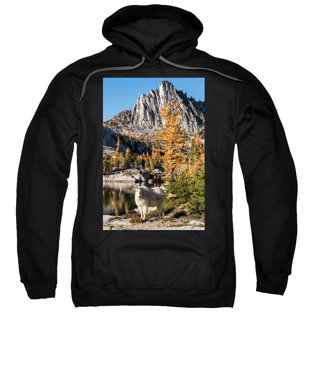 Enchantments Sweatshirt featuring the digital art The mountain goat in the Enchantments by Michael Lee