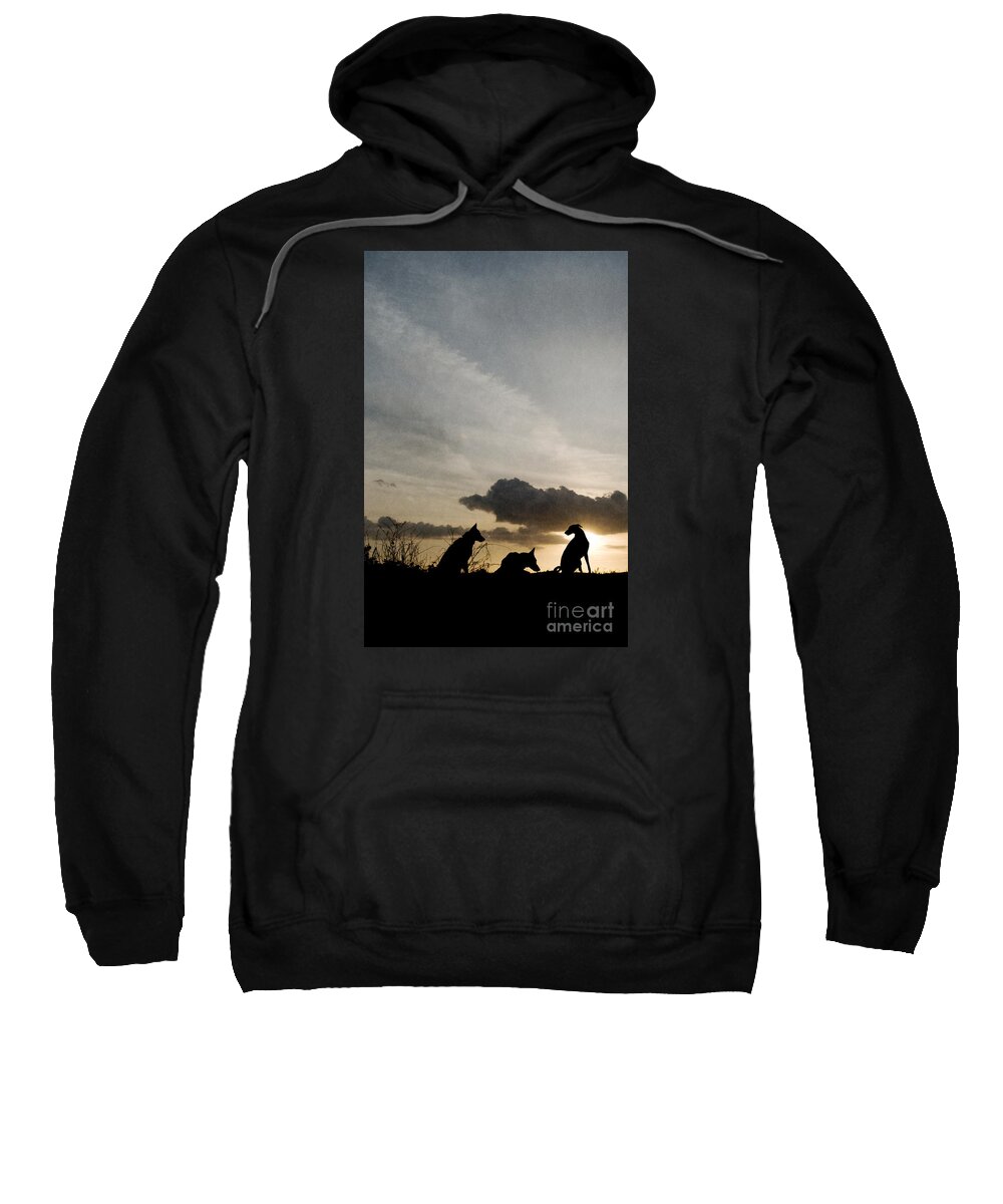 Dog Sweatshirt featuring the photograph Three dogs at sunset by Clayton Bastiani