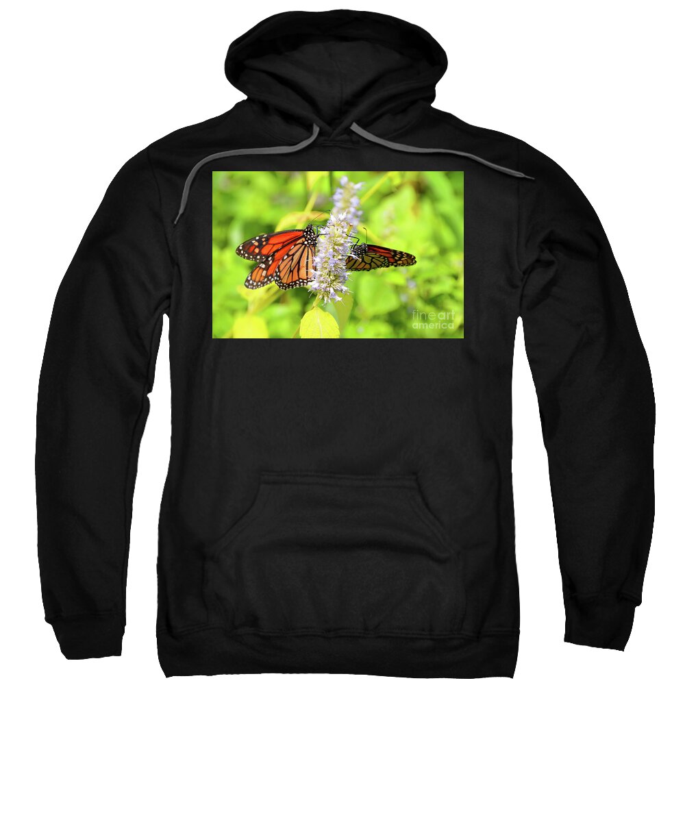 Monarch Sweatshirt featuring the photograph Together We Can Fly So High by Robyn King
