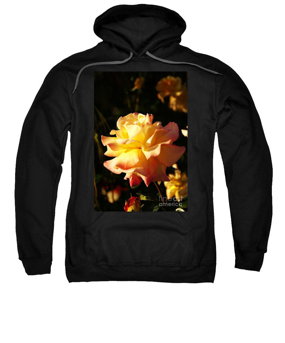 Rose Sweatshirt featuring the photograph Together We Stand by Linda Shafer