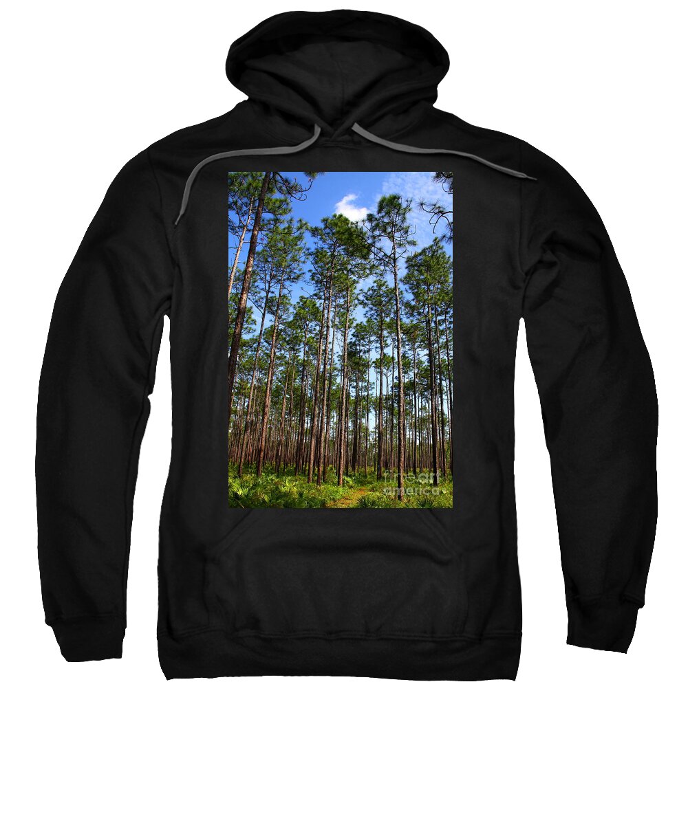 Wright Lake Loop Trail Sweatshirt featuring the photograph Trail through the pine forest by Barbara Bowen