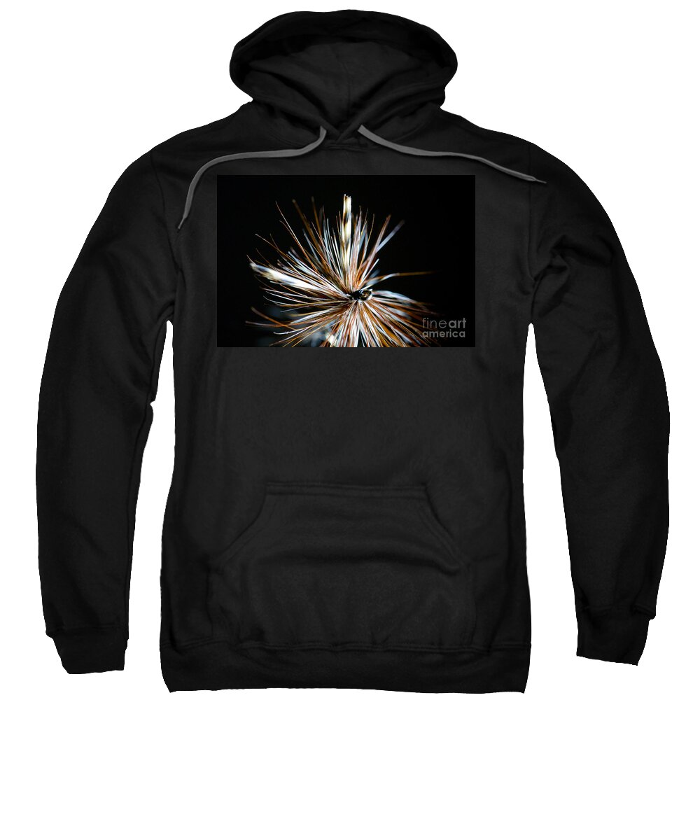 Fly Fishing Sweatshirt featuring the photograph Trout fly by Glenn Gordon