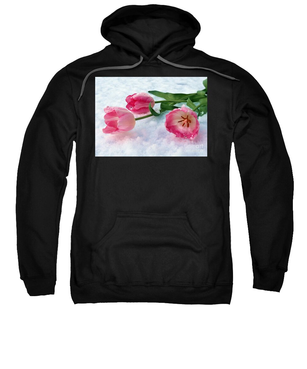 Tulips Sweatshirt featuring the pyrography Tulips in Snow by Morag Bates