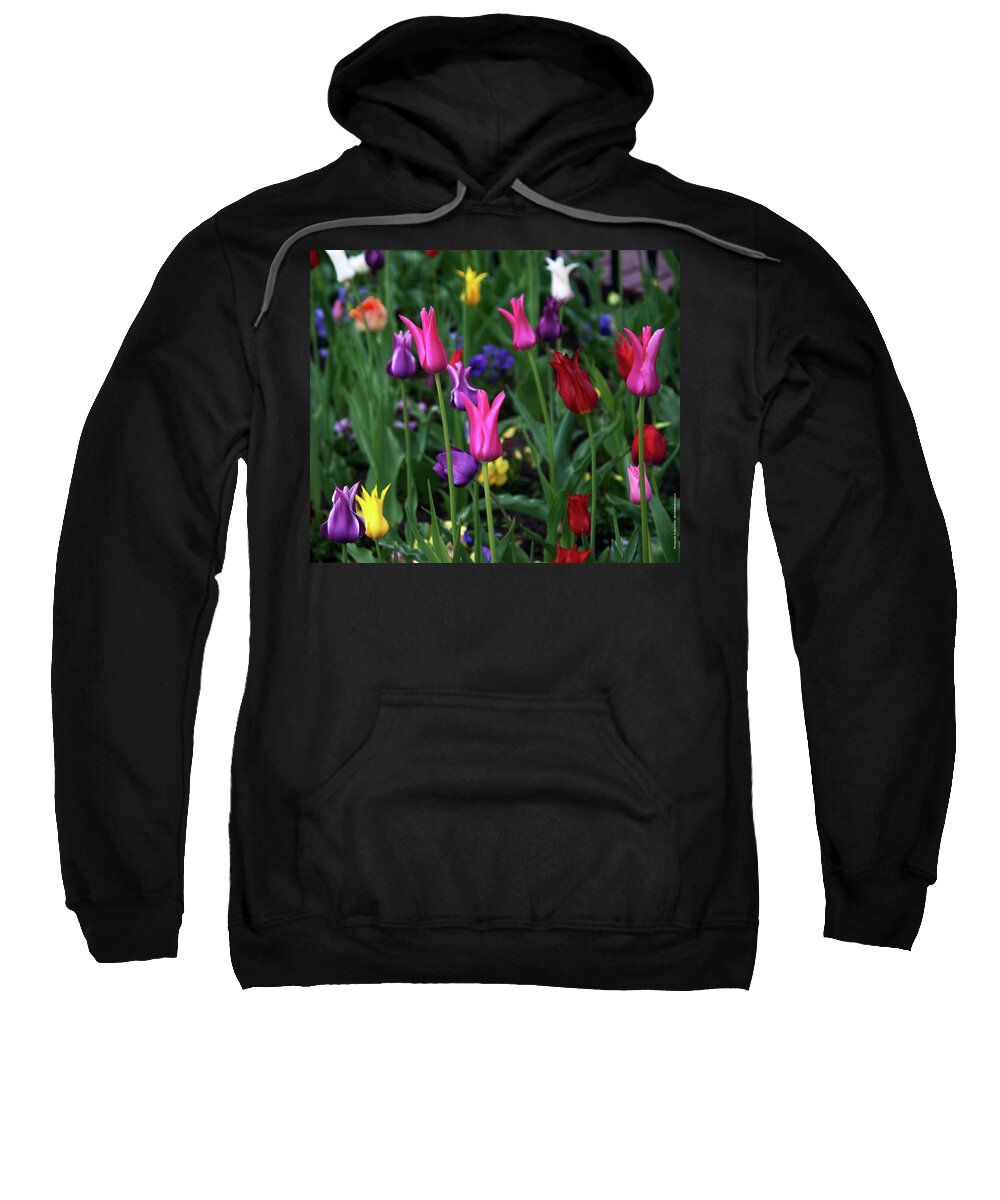 Tulips Sweatshirt featuring the photograph Tulips by Mark Ivins