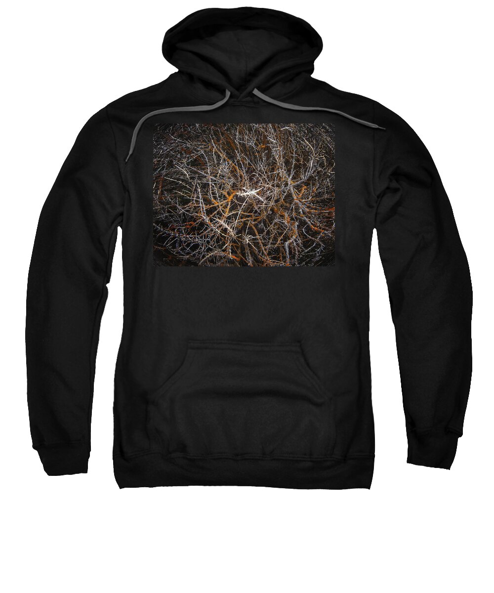 Painted Hills Sweatshirt featuring the photograph Tumbleweed by John Christopher