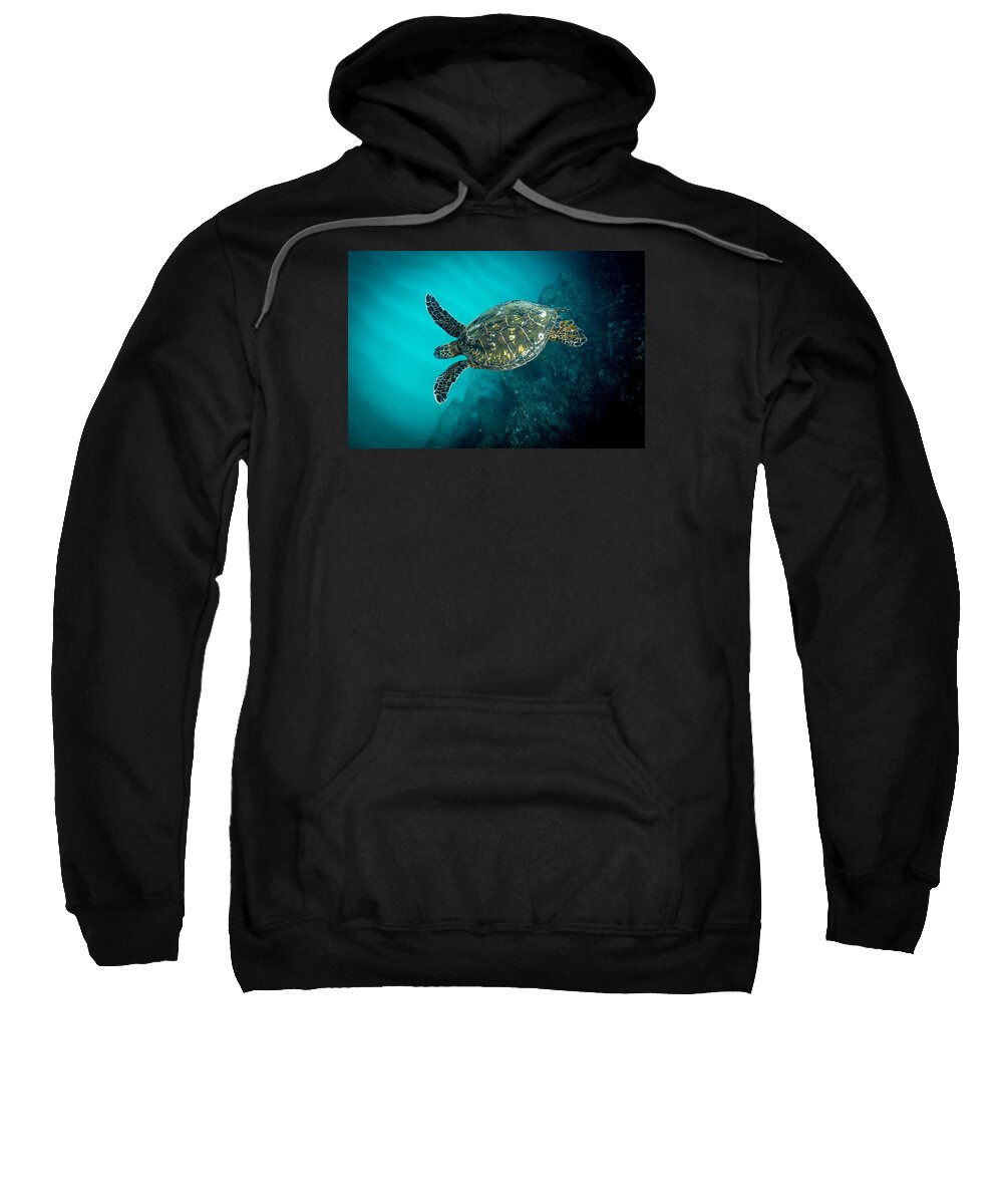 Sea Turtle Sweatshirt featuring the photograph Turtle Blues by Leonardo Dale