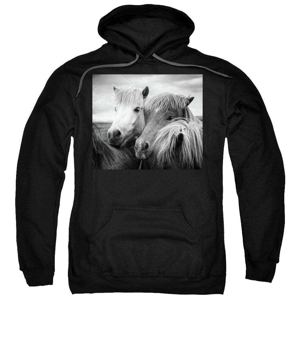 Horses Sweatshirt featuring the photograph Two icelandic horses black and white by Matthias Hauser