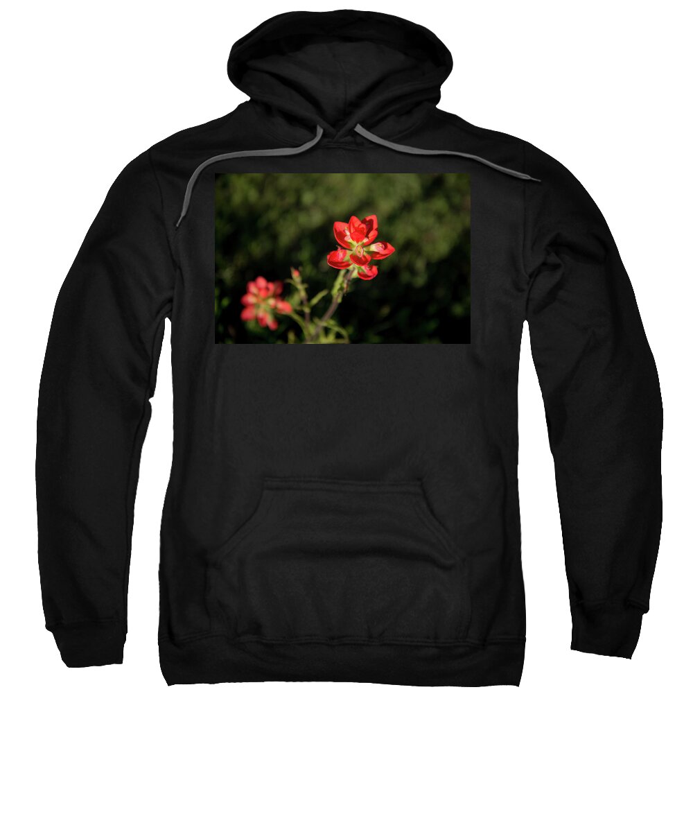 Flowers Sweatshirt featuring the photograph Two Paintbrush Blossoms by Frank Madia