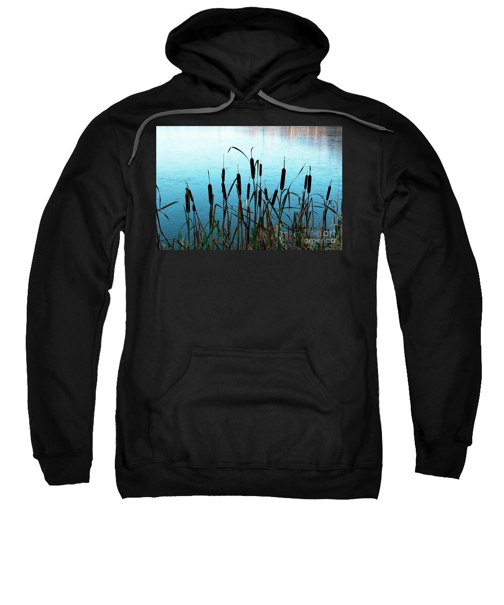 Bulrush Sweatshirt featuring the photograph Typhaceae by Esko Lindell
