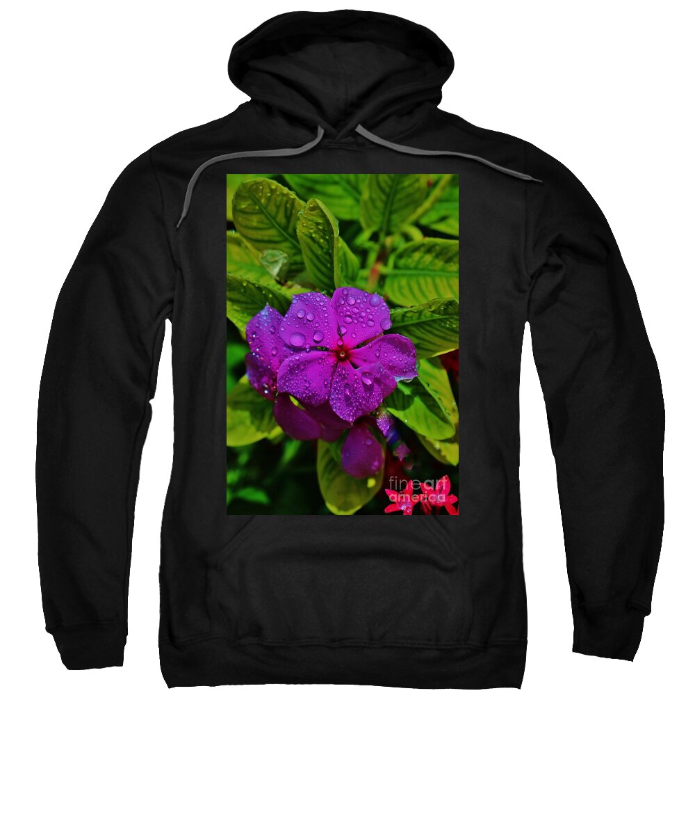 Flowers Sweatshirt featuring the photograph Wet and wild by Craig Wood