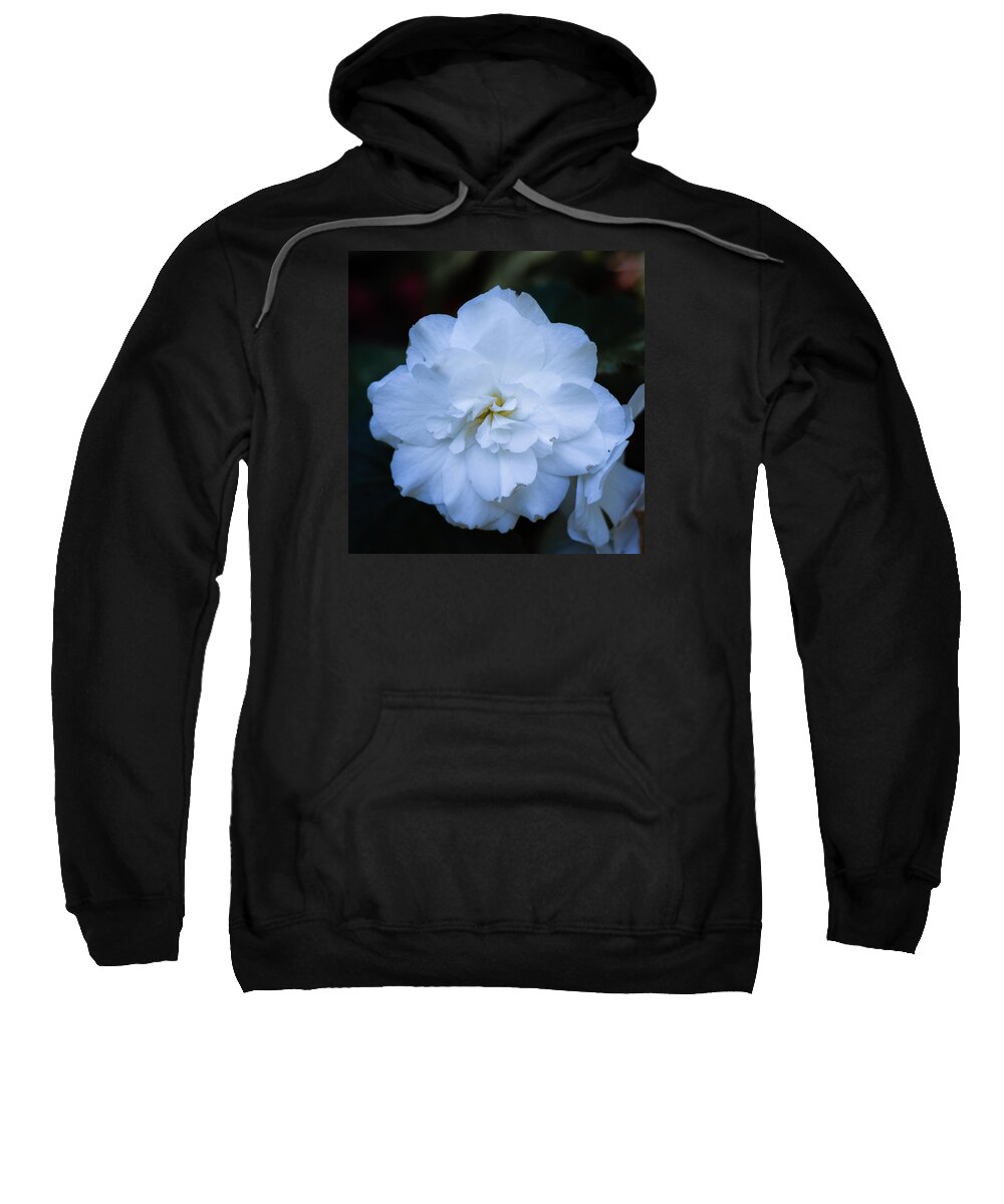 Bellingham Sweatshirt featuring the photograph White as Snow Begonia by Judy Wright Lott
