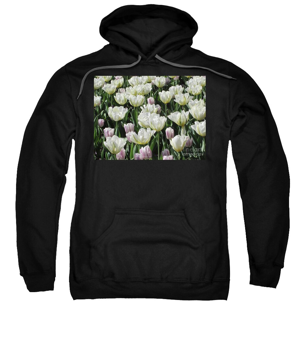Photography Sweatshirt featuring the photograph White as Snow by Kathie Chicoine