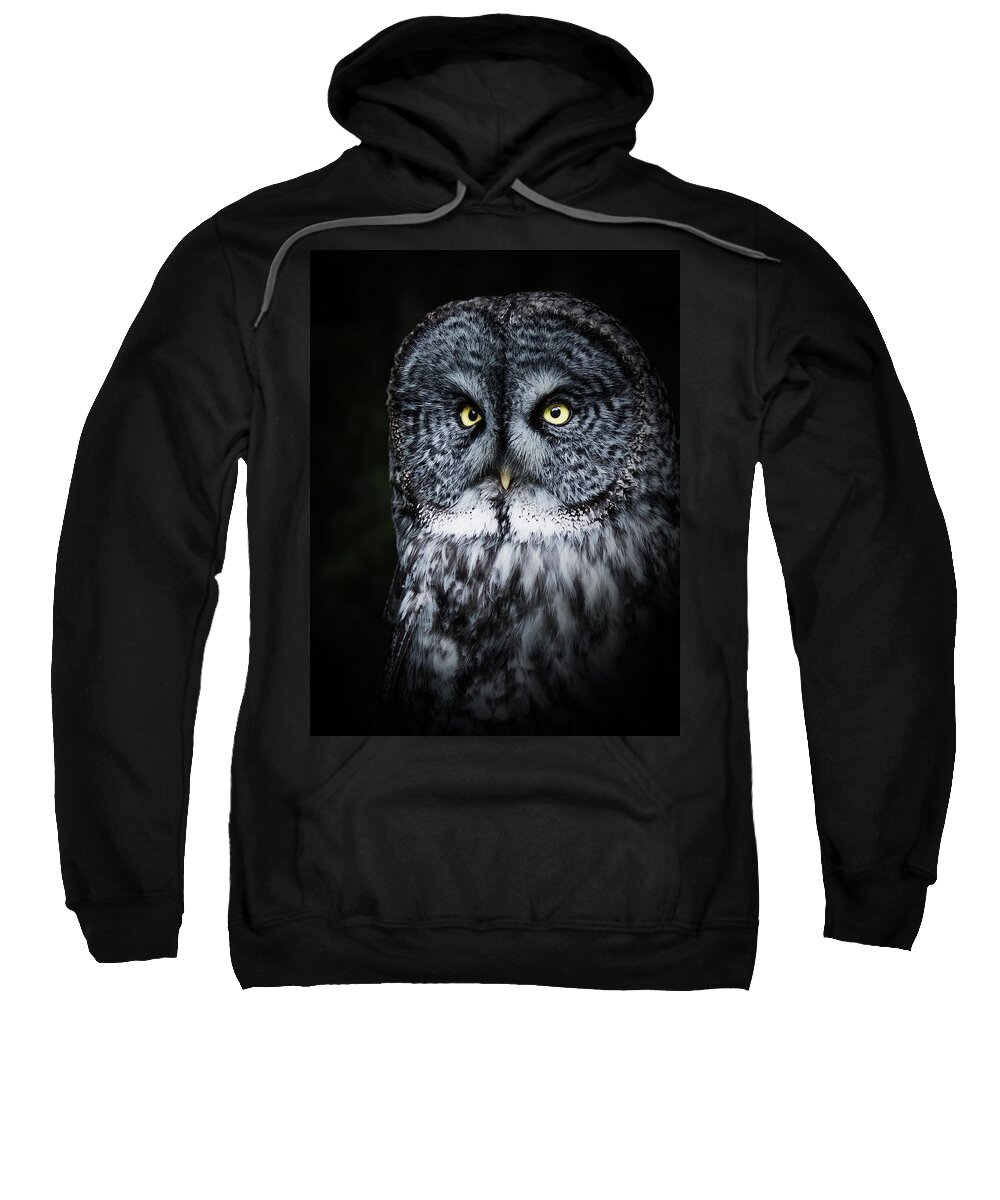 Bird Sweatshirt featuring the photograph Whooo are you looking at? by Bruce Bonnett