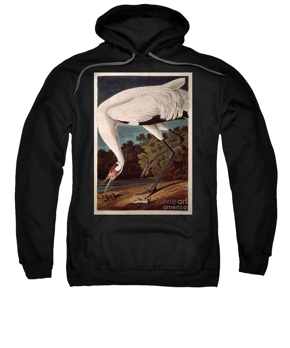 Crane Sweatshirt featuring the painting Whooping Crane by John James Audubon