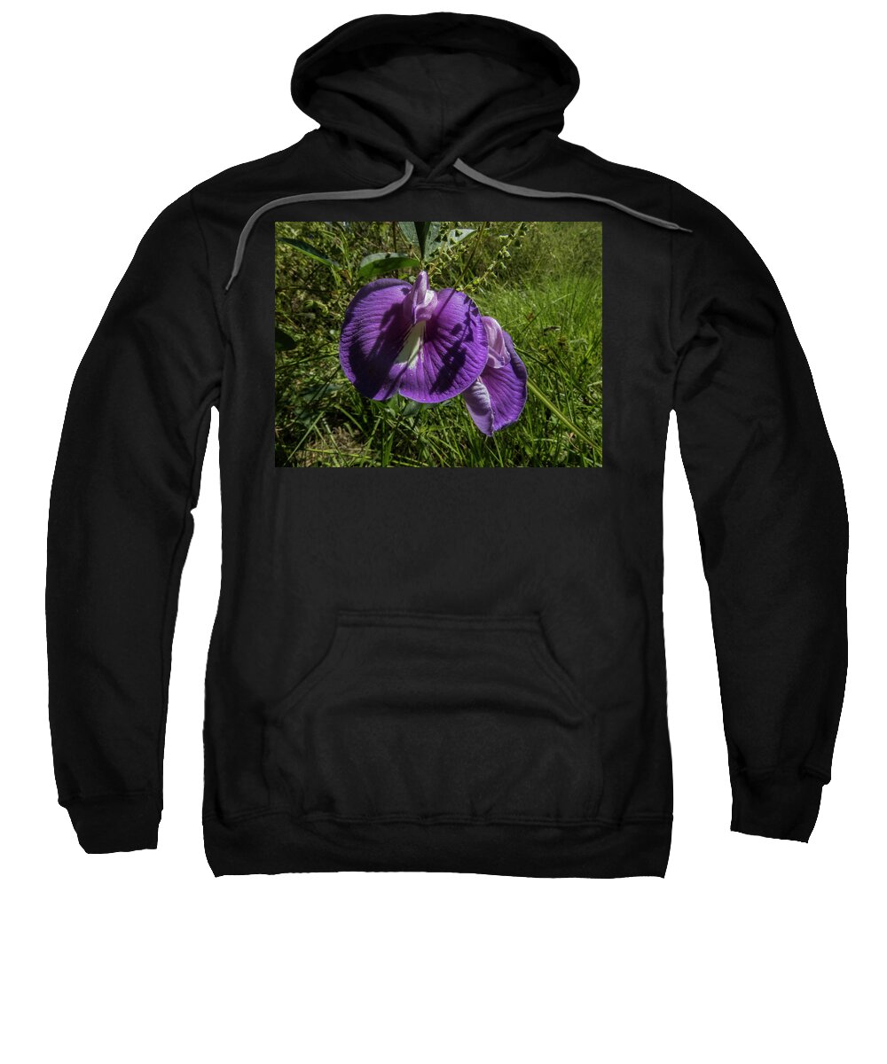 Butterfly Pea Sweatshirt featuring the photograph Wild Butterfly Peas 2 by J M Farris Photography