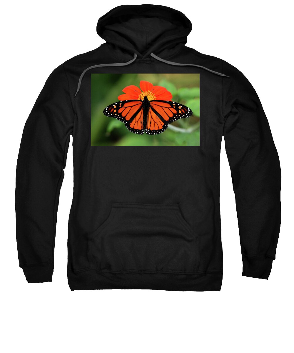 Monarch Sweatshirt featuring the photograph With Wings Wide Open by Debbie Oppermann