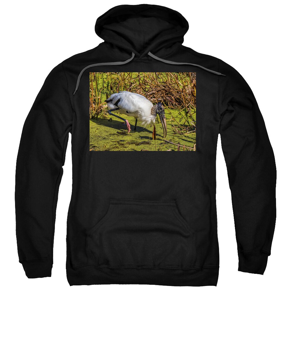 Red Bug Slough Sweatshirt featuring the photograph Wood Stork in Duck Weed by Richard Goldman