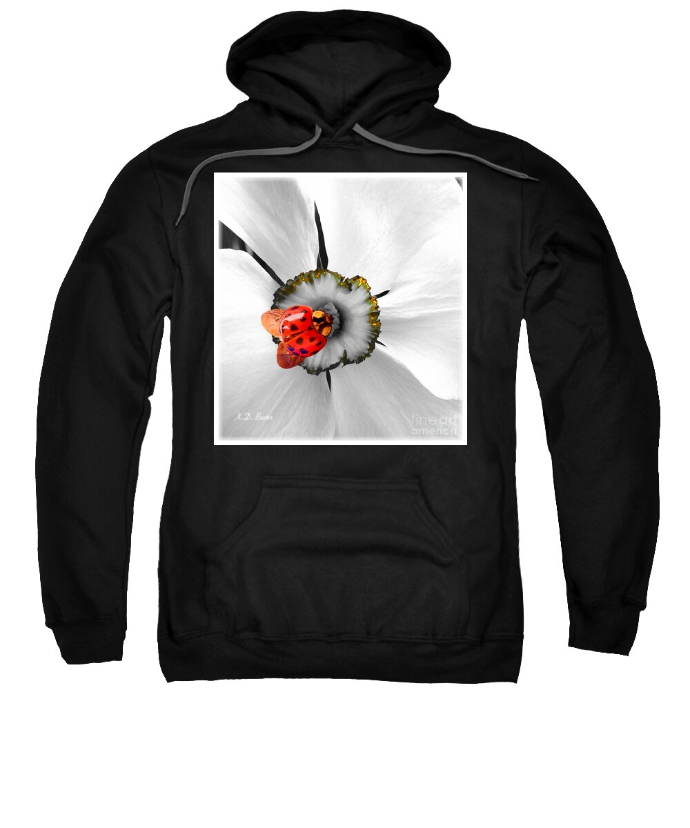 Bright Fire Engine Red With Orange And Amber Undertones Ladybug Is Cruising The Center Of A White Flower Head With A Tinge Of Golden Amber On The Petals Like Glowing Embers On The Flames Of A Fire Passionate Work Nature Scene White Flowers Bright Red Orange Ladybug Mixed Media Works Sweatshirt featuring the mixed media Wow Ladybug Is Hot Today by Kimberlee Baxter