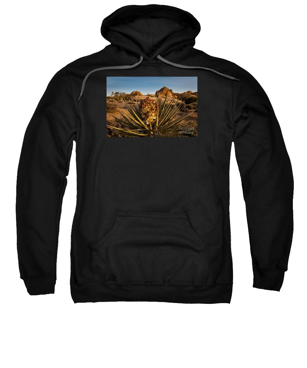 Joshua Tree National Park Sweatshirt featuring the photograph Yucca Bloom by Patti Schulze