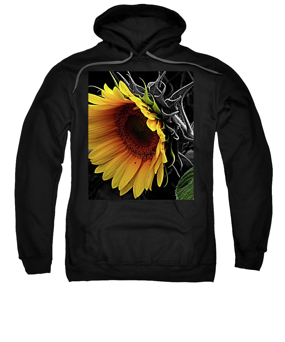 Flower Sweatshirt featuring the photograph Sunflower #1 by Chauncy Holmes