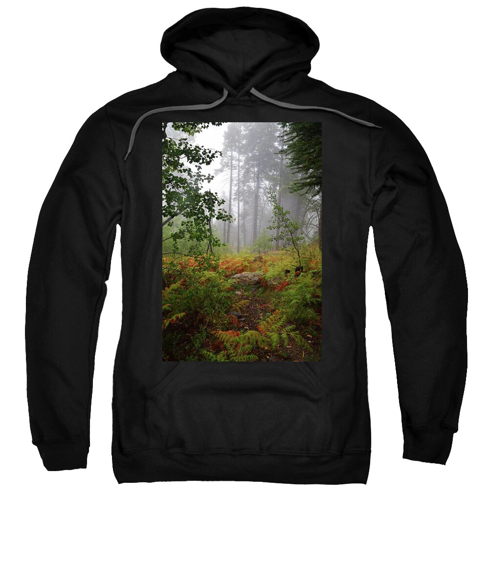 Autumn Sweatshirt featuring the photograph Autumn fog by Chance Kafka