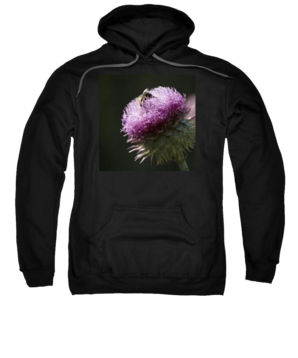 Bee Sweatshirt featuring the photograph Bee on Thistle by Nancy Ayanna Wyatt