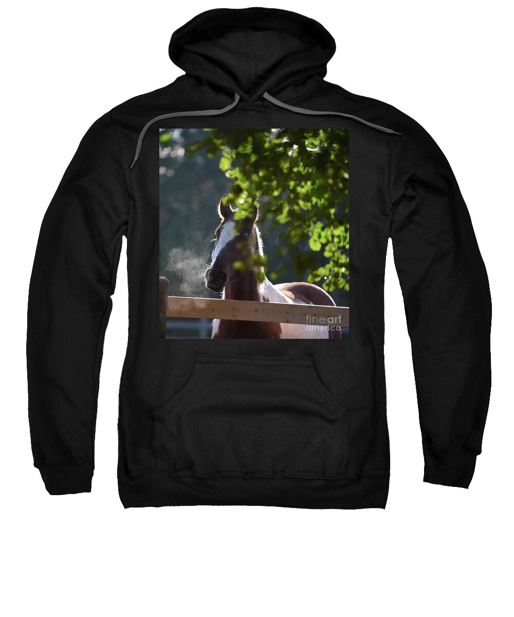 Rosemary Farm Sweatshirt featuring the photograph Behr by Carien Schippers