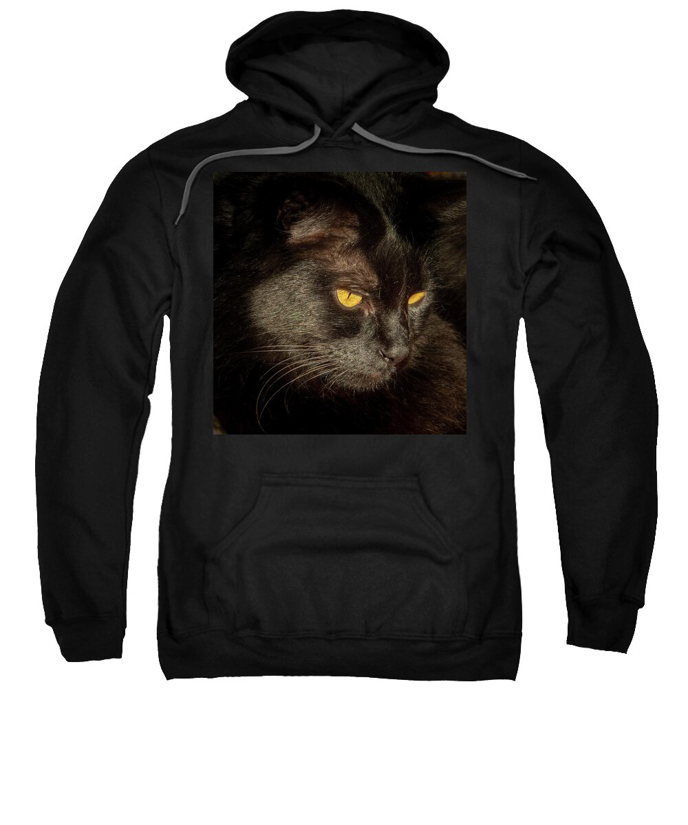 Black Cat Sweatshirt featuring the photograph Black Cat by Jean Noren