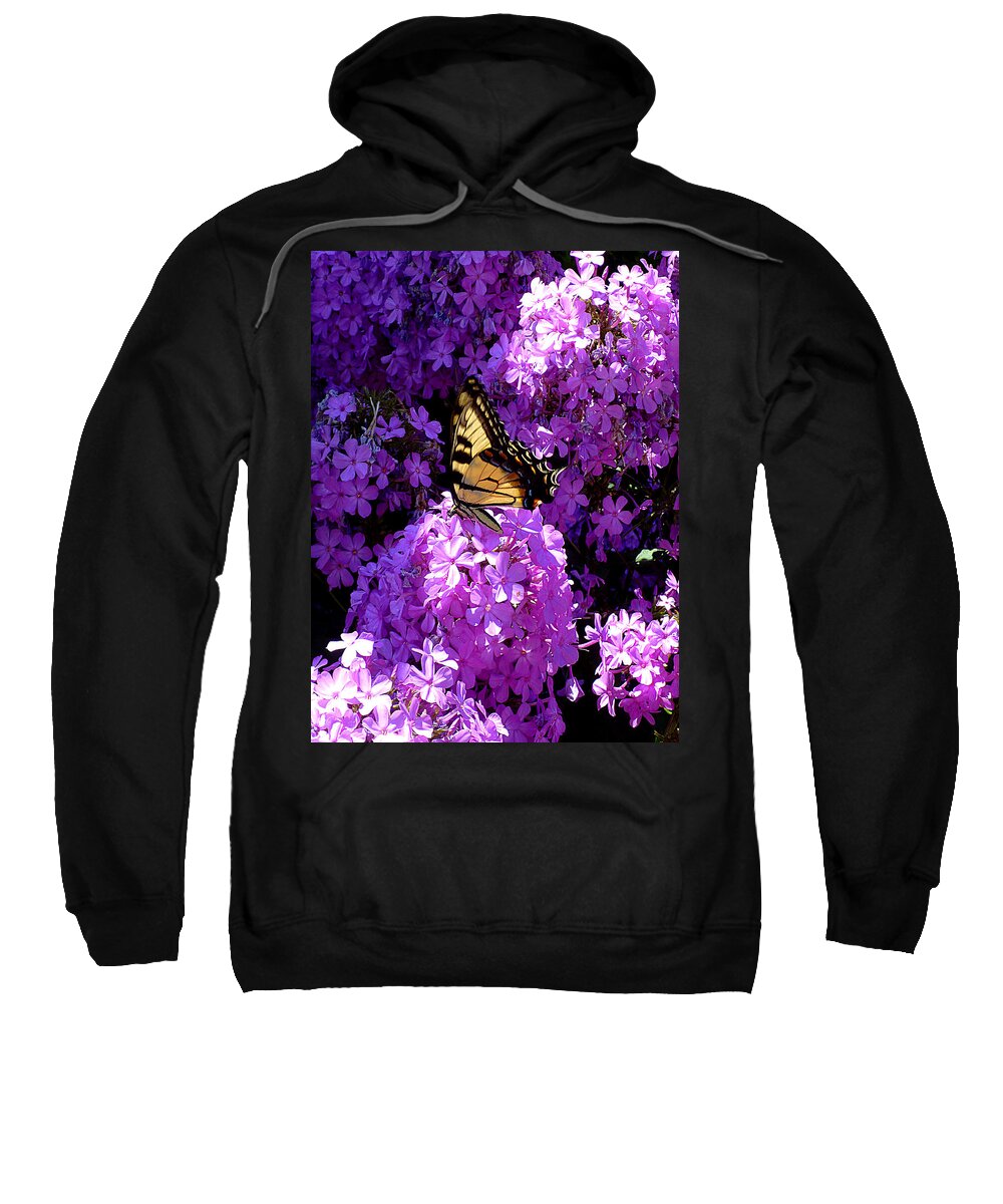 Eastern Tiger Swallowtail Sweatshirt featuring the photograph Butterfly and Phlox by Mike McBrayer