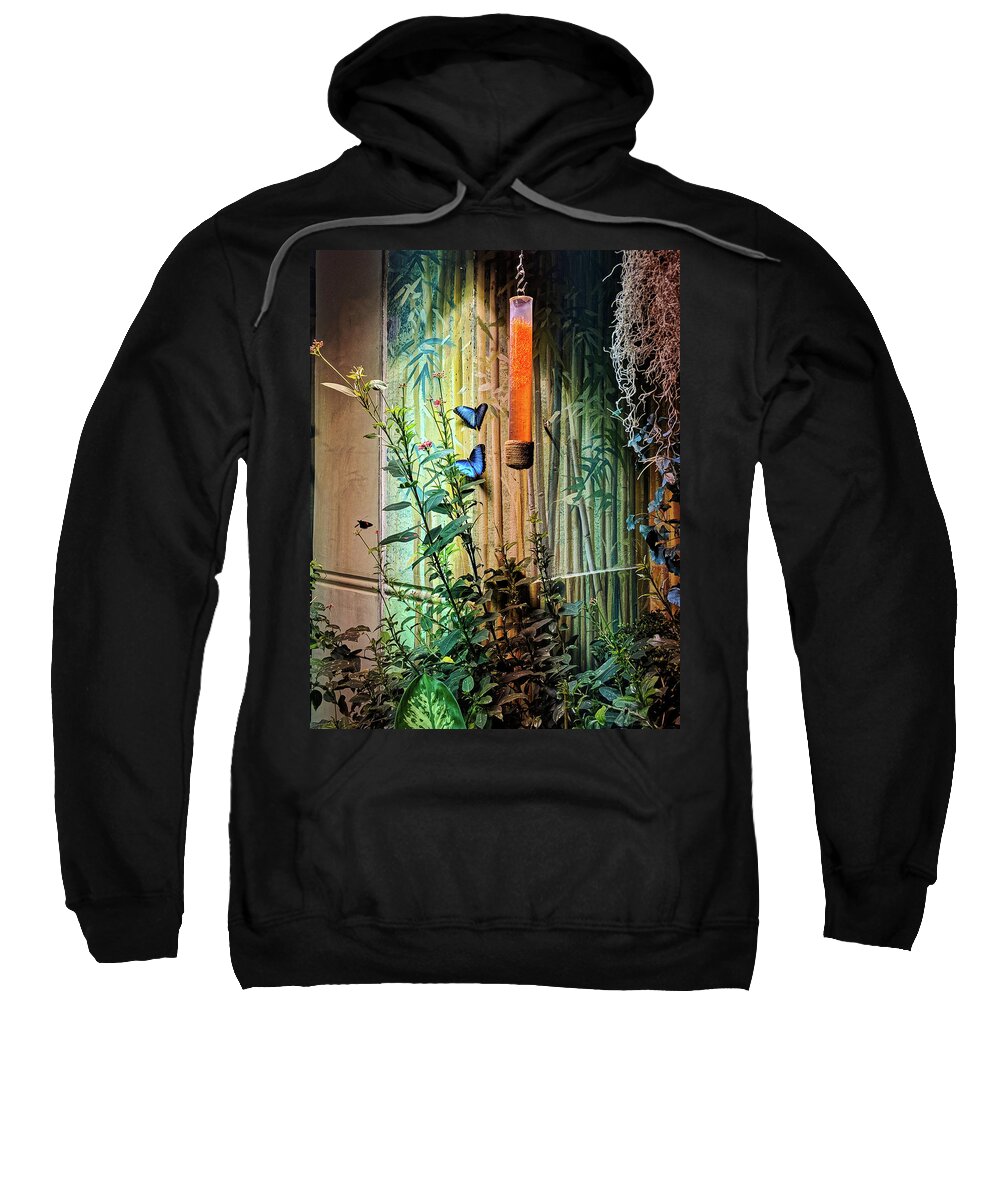 Plant Sweatshirt featuring the photograph Butterfly Garden by Portia Olaughlin