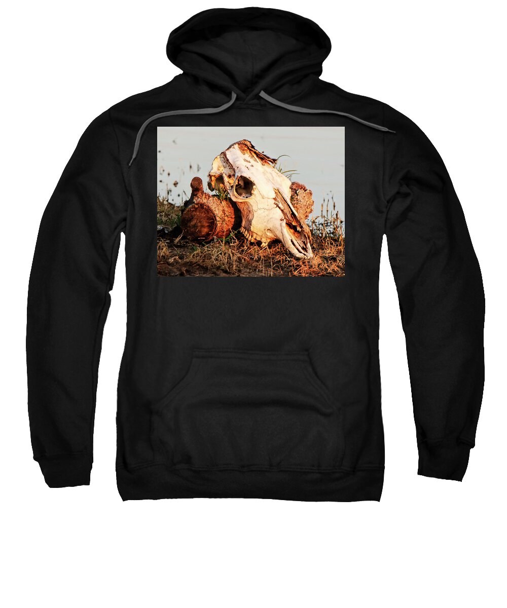 Kansas Sweatshirt featuring the photograph Cow Skull 001 by Rob Graham