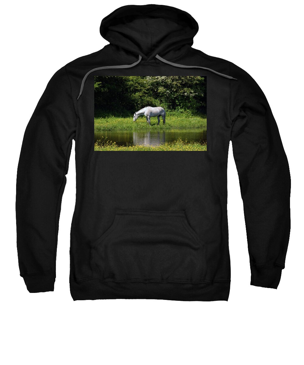 Ulverston Sweatshirt featuring the photograph CUMBRIA. Ulverston. Horse By The Canal by Lachlan Main