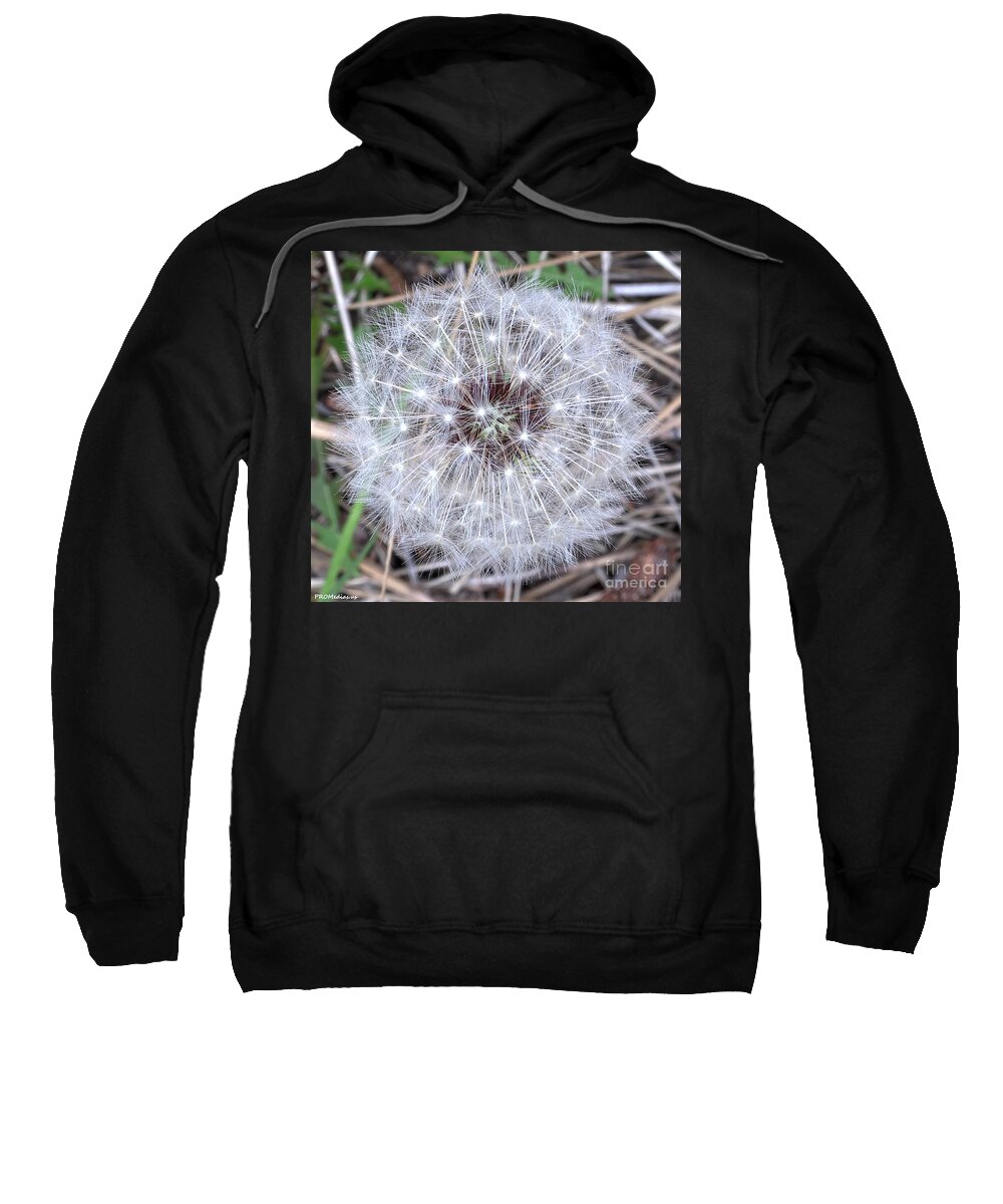 Dandelion Sweatshirt featuring the photograph Dandelion Seedhead by PROMedias US