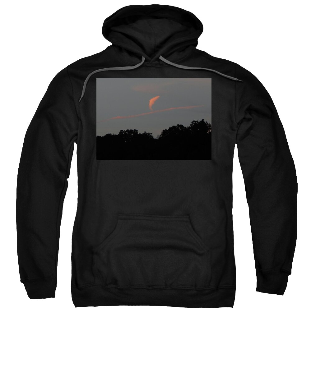 Sky Sweatshirt featuring the photograph Dolphin in the Sky by Karen Stansberry