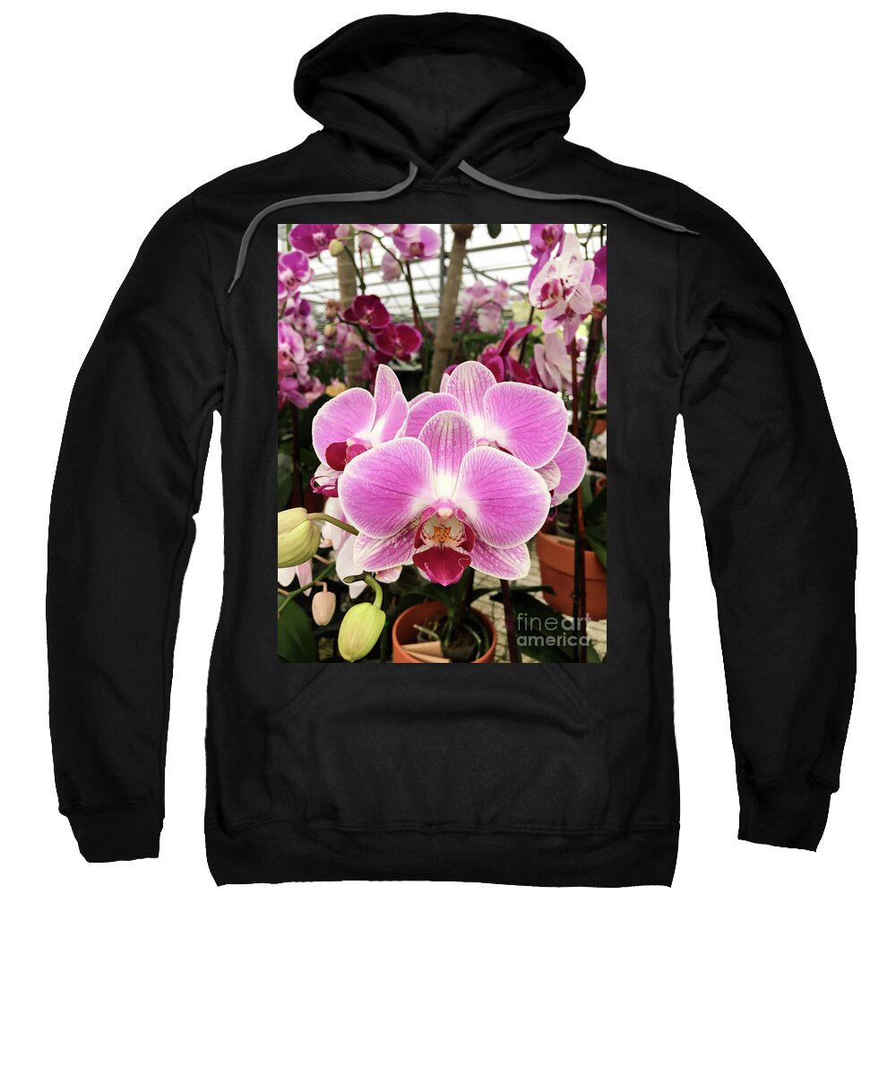 Orchid Flower Sweatshirt featuring the photograph Beautiful Exotic Orchid Artwork 04 by Carlos Diaz