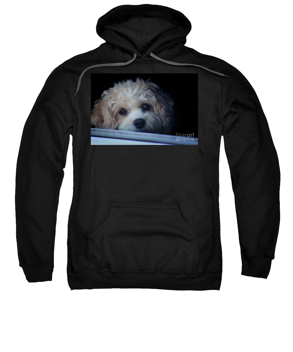 Puppy Sweatshirt featuring the photograph Faithfully Waiting by Karen Adams
