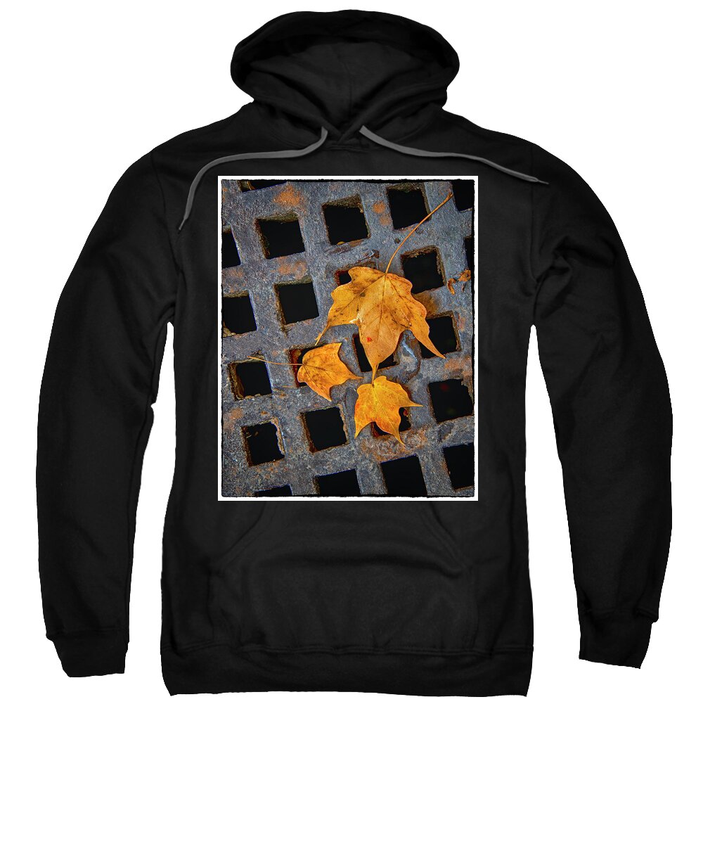 Leaves Sweatshirt featuring the photograph Grateful Leaves by Harriet Feagin