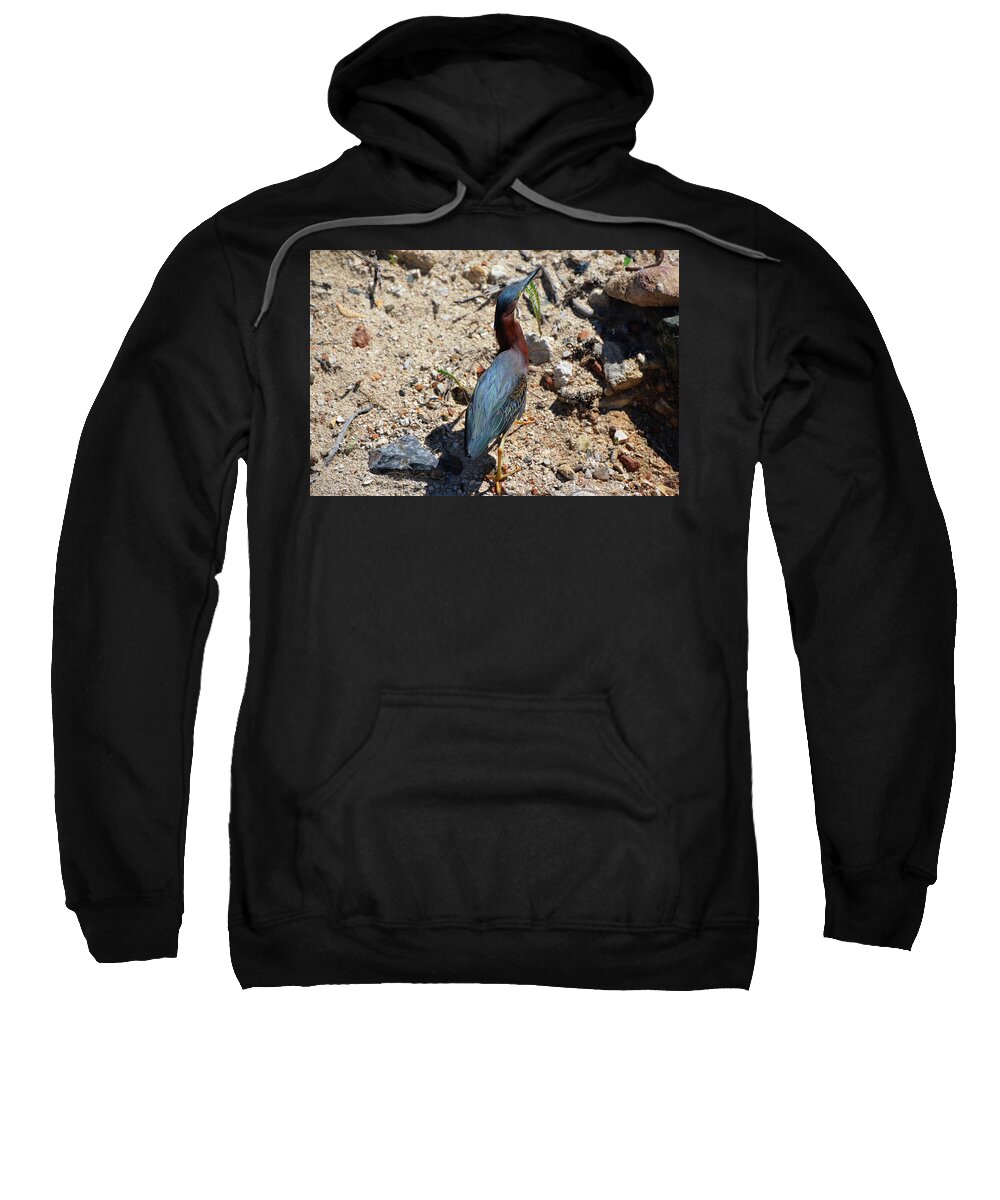 Green Heron Sweatshirt featuring the photograph Green Heron Strut by Climate Change VI - Sales