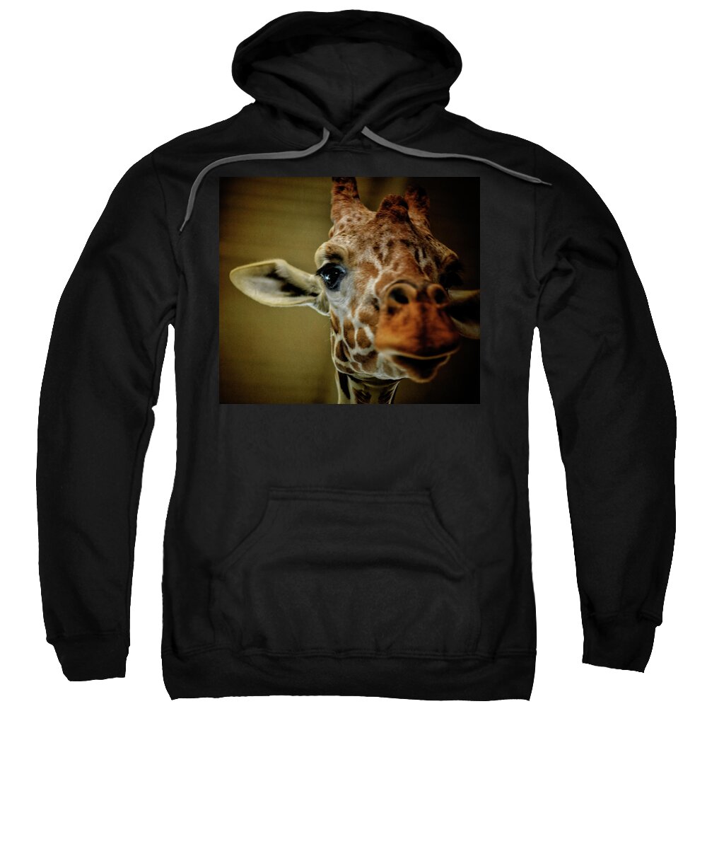 Giraffe Sweatshirt featuring the photograph I Spy With My Eye by Elin Skov Vaeth