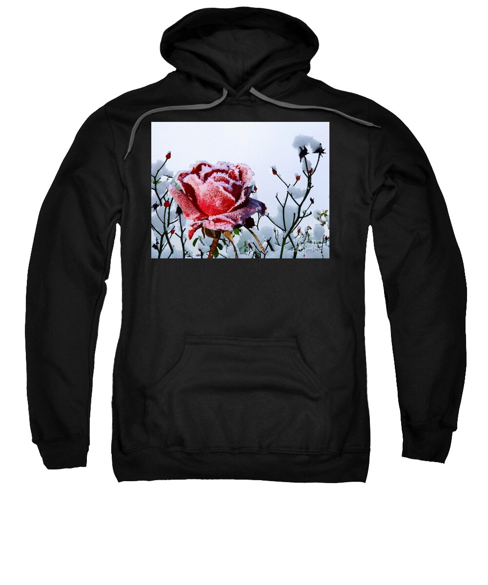 Red Rose Sweatshirt featuring the mixed media Jack Frost by Morag Bates