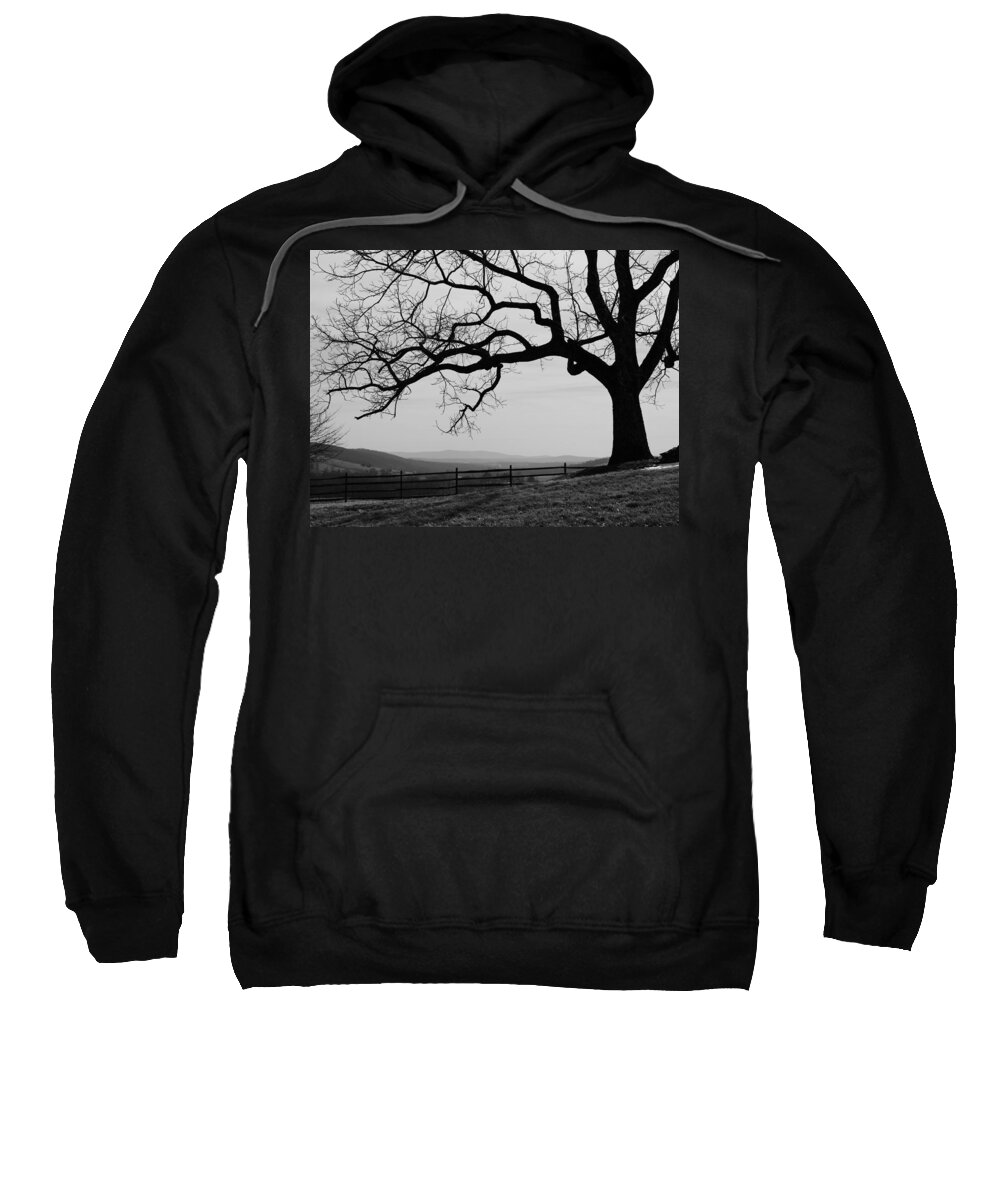 Jane Ford Sweatshirt featuring the photograph Longing for Spring by Jane Ford