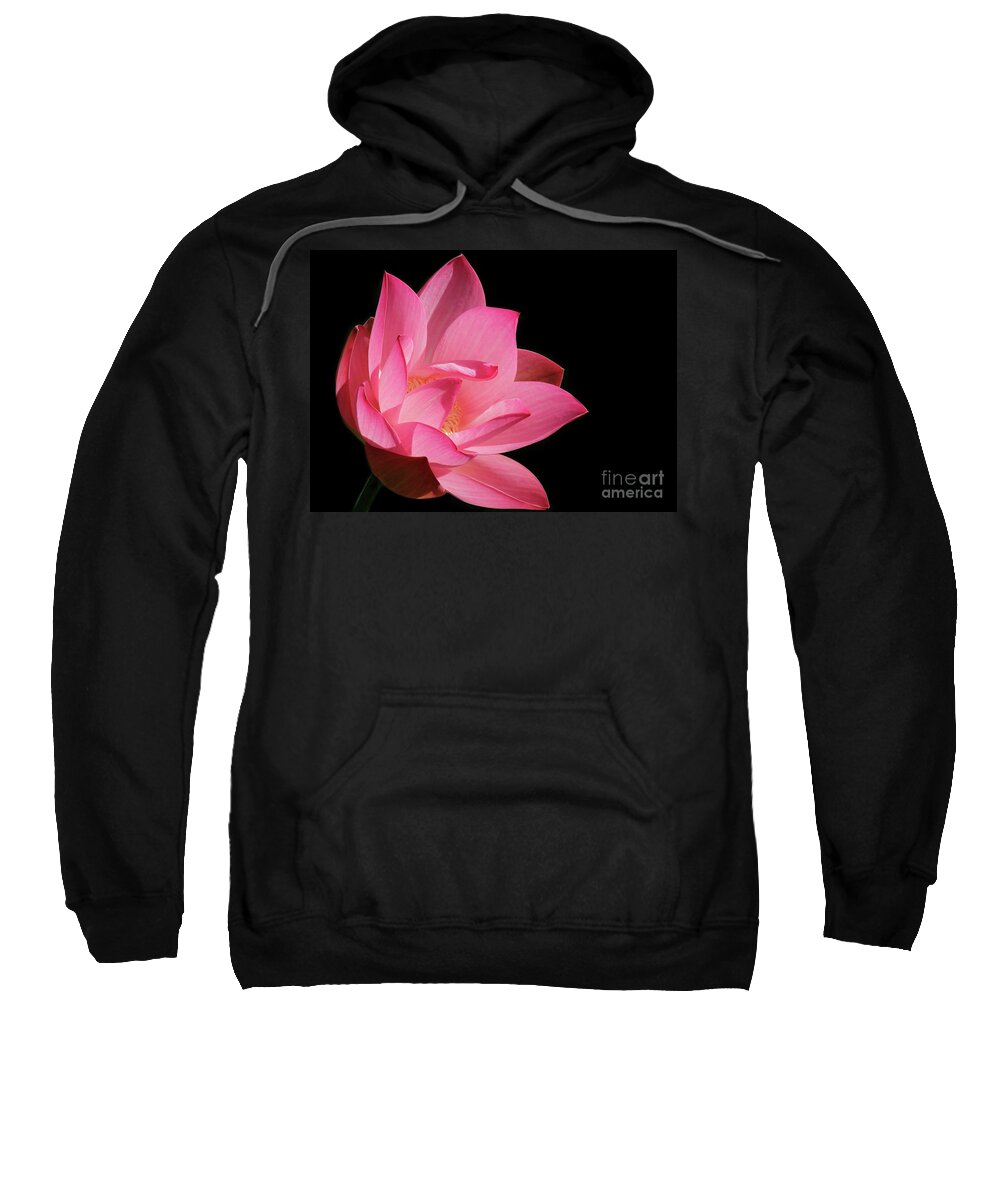Lotus Sweatshirt featuring the photograph Lotus Diva by Sabrina L Ryan