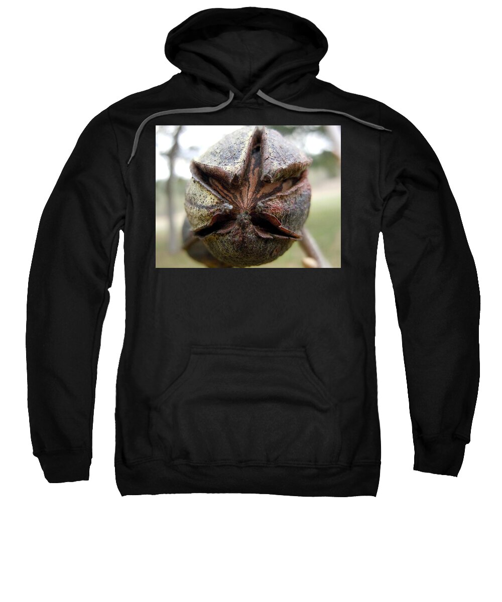 Pecan Sweatshirt featuring the photograph Mister Pecan by Ivars Vilums
