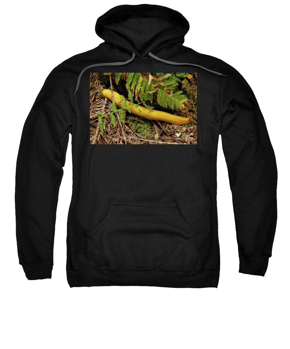 Slug Sweatshirt featuring the photograph Northern California Forest Floor Resident by Natural Focal Point Photography