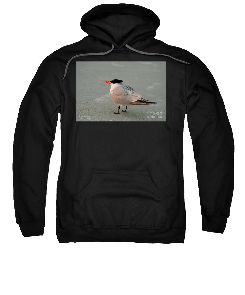 Nature Sweatshirt featuring the photograph One Good Tern Deserves...Friends by Mariarosa Rockefeller