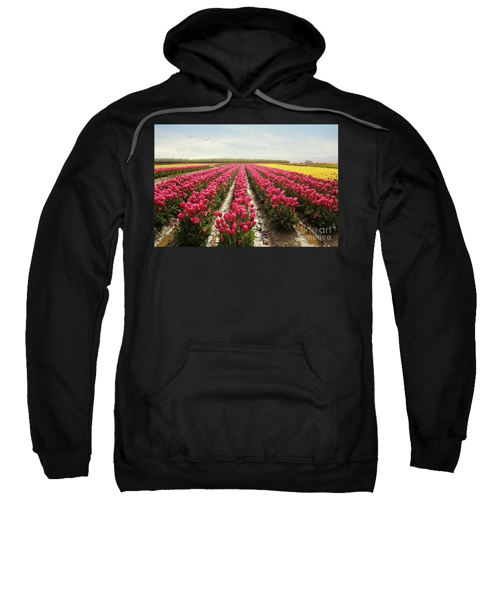Tulips Sweatshirt featuring the photograph Oregon tulip festival by Sylvia Cook