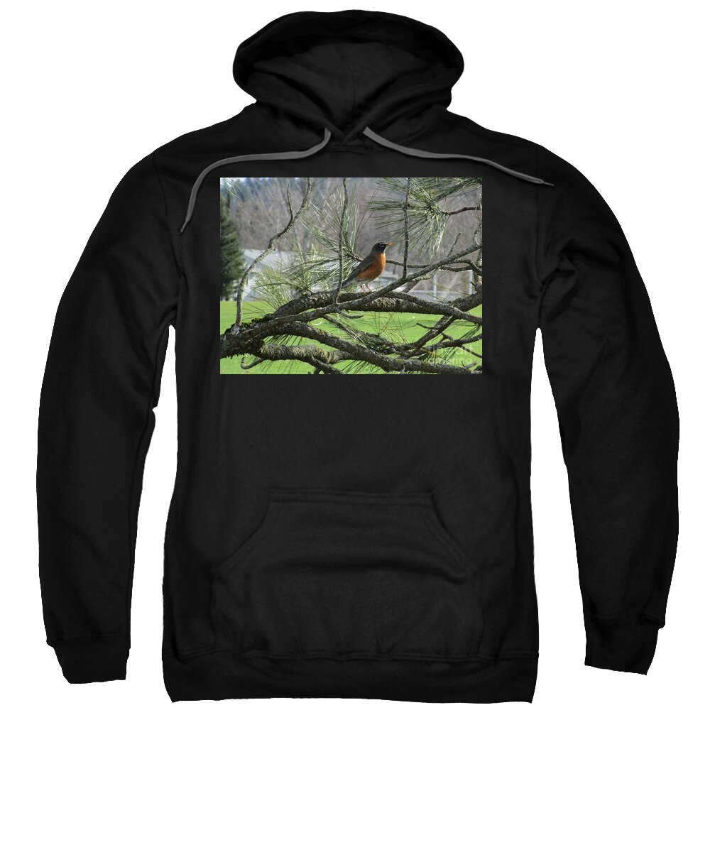 Robin Sweatshirt featuring the photograph Pretty as a Rbon by Marie Neder