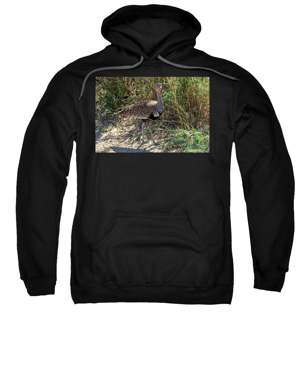 Red-crested Bustard Sweatshirt featuring the photograph Red-Crested Bustard of Kruger by Douglas Wielfaert